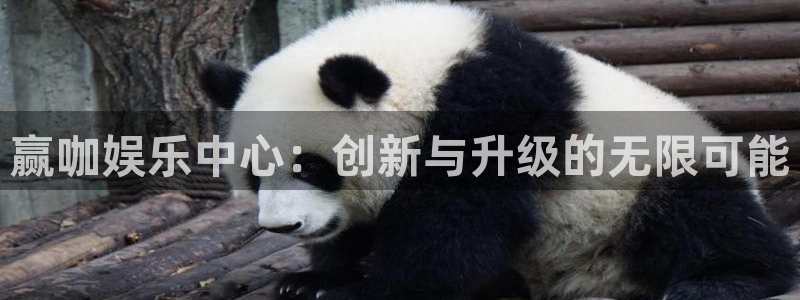 bg大游官方网站